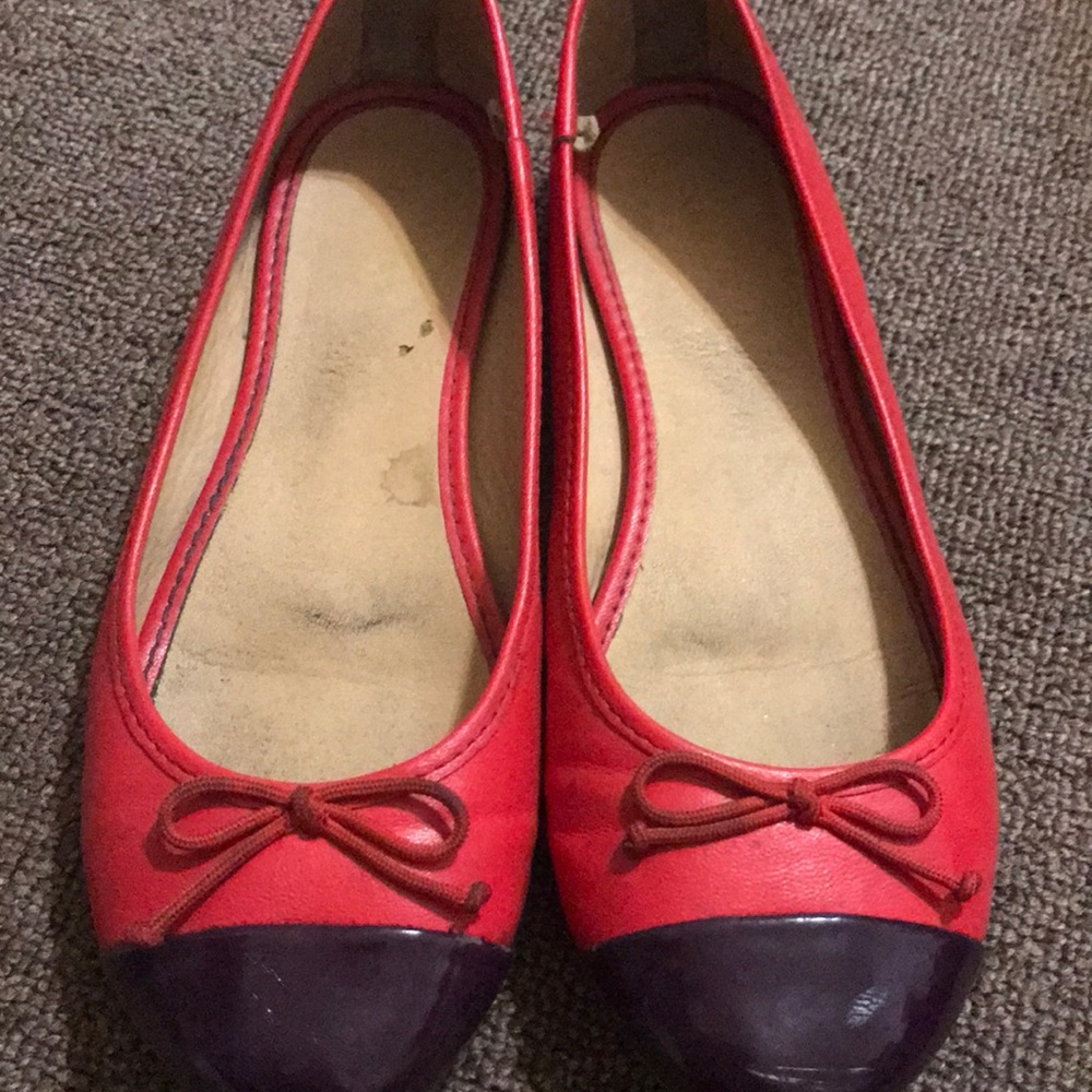 A flat two colored flat shoe